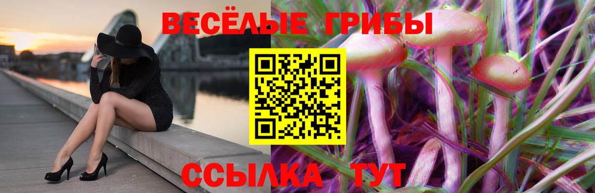 Псилоцибиновые грибы MAGIC MUSHROOMS  Галлюциногенные грибы MAGIC MUSHROOMS  Вход с VPN  Петропавловск-Камчатский 
